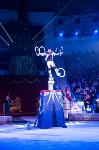 "Чудеса под Новый год" в Тульском цирке, Фото: 76