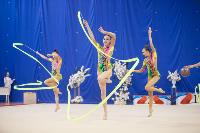 Соревнования по художественной гимнастике на призы благотворительного фонда «Земляки», Фото: 166