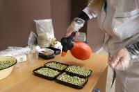 Елена Киеня выращивает микрозелень, Фото: 24