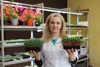 Елена Киеня выращивает микрозелень, Фото: 33