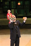 Цирк «Вива, Зорро!» в Туле , Фото: 7