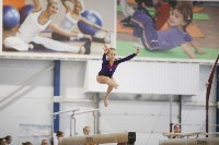 Спортивная гимнастика в Туле 3.12, Фото: 165