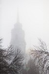 Туман в Туле, Фото: 70