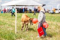День поля в Тульской области: Гигантская техника, шубы из кроликов и мастер-класс по сыроварению, Фото: 66