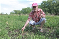 Юрий Жоев: кимовский фермер выращивает королевское лакомство, Фото: 4