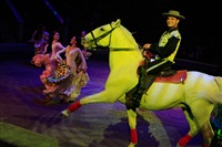 Цирк «Вива, Зорро!» в Туле , Фото: 62