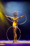 Шоу фонтанов «13 месяцев»: успей увидеть уникальную программу в Тульском цирке, Фото: 73