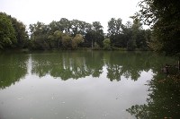 Загрязнение прудв в Платоновском парке, Фото: 8