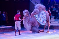 На каникулах – в Цирк больших зверей, Фото: 141