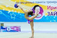 Тула провела крупный турнир по художественной гимнастике, Фото: 151