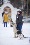 В Туле прошла Всероссийская выставка собак, Фото: 6