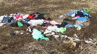 Поселок Славный в Тульской области зарастает мусором, Фото: 7