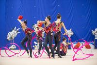 Соревнования по художественной гимнастике на призы благотворительного фонда «Земляки», Фото: 177