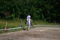 В Ясной поляне стартовал турнир по конному спорту, Фото: 137