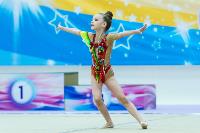 Тула провела крупный турнир по художественной гимнастике, Фото: 20