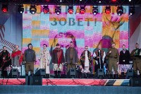 Праздничный концерт и салют Победы в Туле, Фото: 47