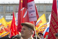 Митинг в Туле в поддержку Крыма, Фото: 28