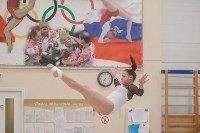 Первенство ЦФО по спортивной гимнастике, Фото: 171