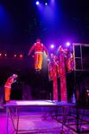 Успейте посмотреть шоу «Новогодние приключения домовенка Кузи» в Тульском цирке, Фото: 77