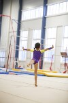 Спортивная гимнастика в Туле 3.12, Фото: 124