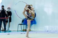 Тула провела крупный турнир по художественной гимнастике, Фото: 99