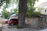 Туляки просят спасти старинный дуб на улице Энгельса, Фото: 2