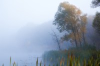Центральный парк, утро, осень, Фото: 8