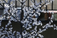 Весна в городе. 10 марта, Фото: 55