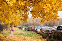 Золотая осень в Ясной Поляне, Фото: 127