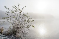 Ледяное утро в Центральном парке, Фото: 38