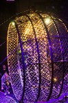 "Чудеса под Новый год" в Тульском цирке, Фото: 95