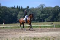 В Ясной поляне стартовал турнир по конному спорту, Фото: 54