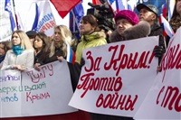 Митинг в Туле в поддержку Крыма, Фото: 13