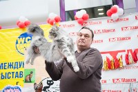 Выставка "Пряничные кошки" в ТРЦ "Макси", Фото: 49