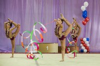 Всероссийские соревнования по художественной гимнастике на призы Посевиной, Фото: 98