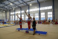 Спортивная гимнастика в Туле 3.12, Фото: 74