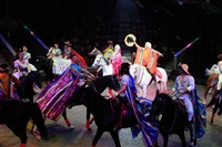 Цирк «Вива, Зорро!» в Туле , Фото: 89