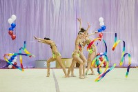 Всероссийские соревнования по художественной гимнастике на призы Посевиной, Фото: 166