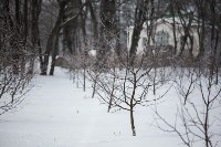 Зимняя сказка по-тульски, Фото: 20