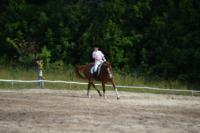 В Ясной поляне стартовал турнир по конному спорту, Фото: 38