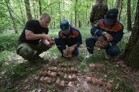 В лесу под Тулой поисковики нашли тайник с гранатами, Фото: 23