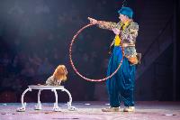 Шоу фонтанов «13 месяцев»: успей увидеть уникальную программу в Тульском цирке, Фото: 27