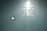 Арсенал - Томь: 1:2. 25 ноября 2015 года, Фото: 9