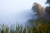 Центральный парк, утро, осень, Фото: 22