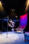 Успейте посмотреть шоу «Новогодние приключения домовенка Кузи» в Тульском цирке, Фото: 94