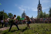 В Тульской области прошел фестиваль крапивы, Фото: 213