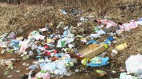 Поселок Славный в Тульской области зарастает мусором, Фото: 16