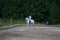 В Ясной поляне стартовал турнир по конному спорту, Фото: 142