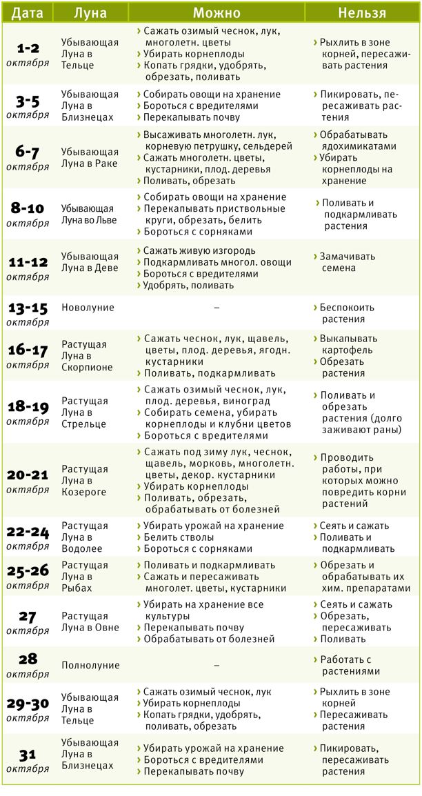 Календарь садовода и огородника на октябрь-2023 - Блог «Садовод» - MySlo.ru